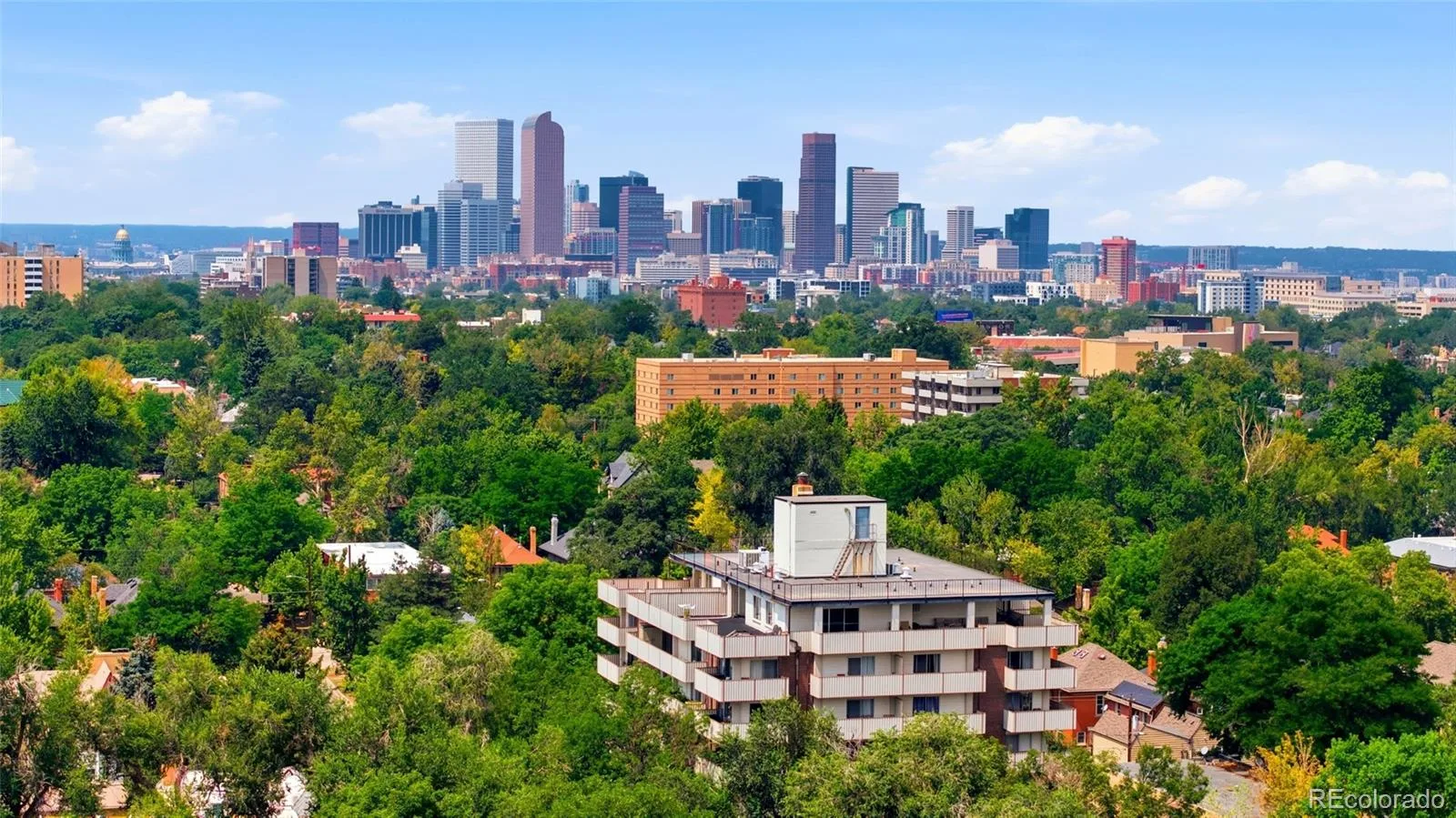 1313 Steele Street #306 Denver CO 80206 | MLS #REC9733977 08112026183700 1600 29