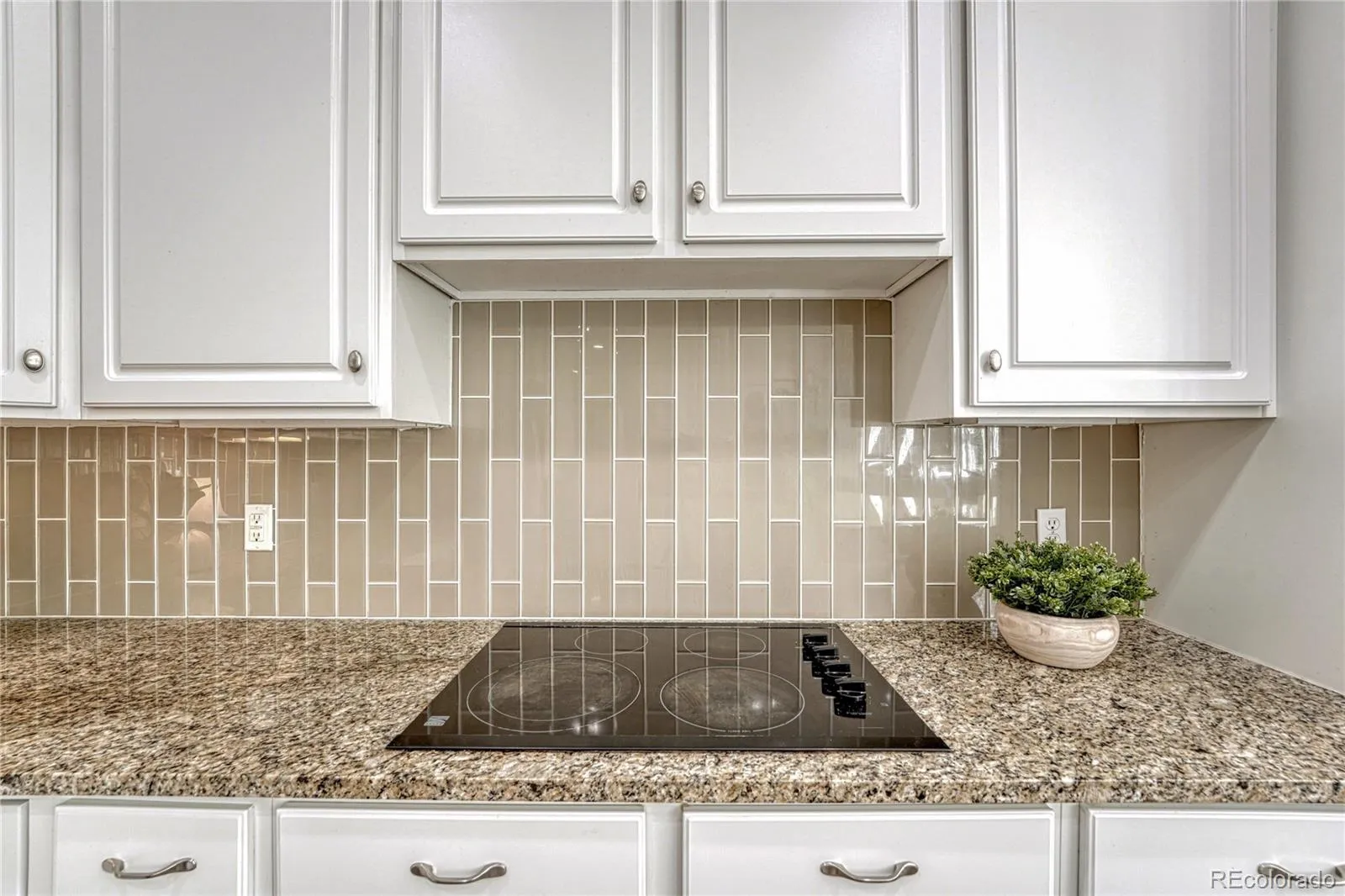 20214 E Euclid Place Aurora CO 80016 MLS #REC9739532 05232026165248 1600 12