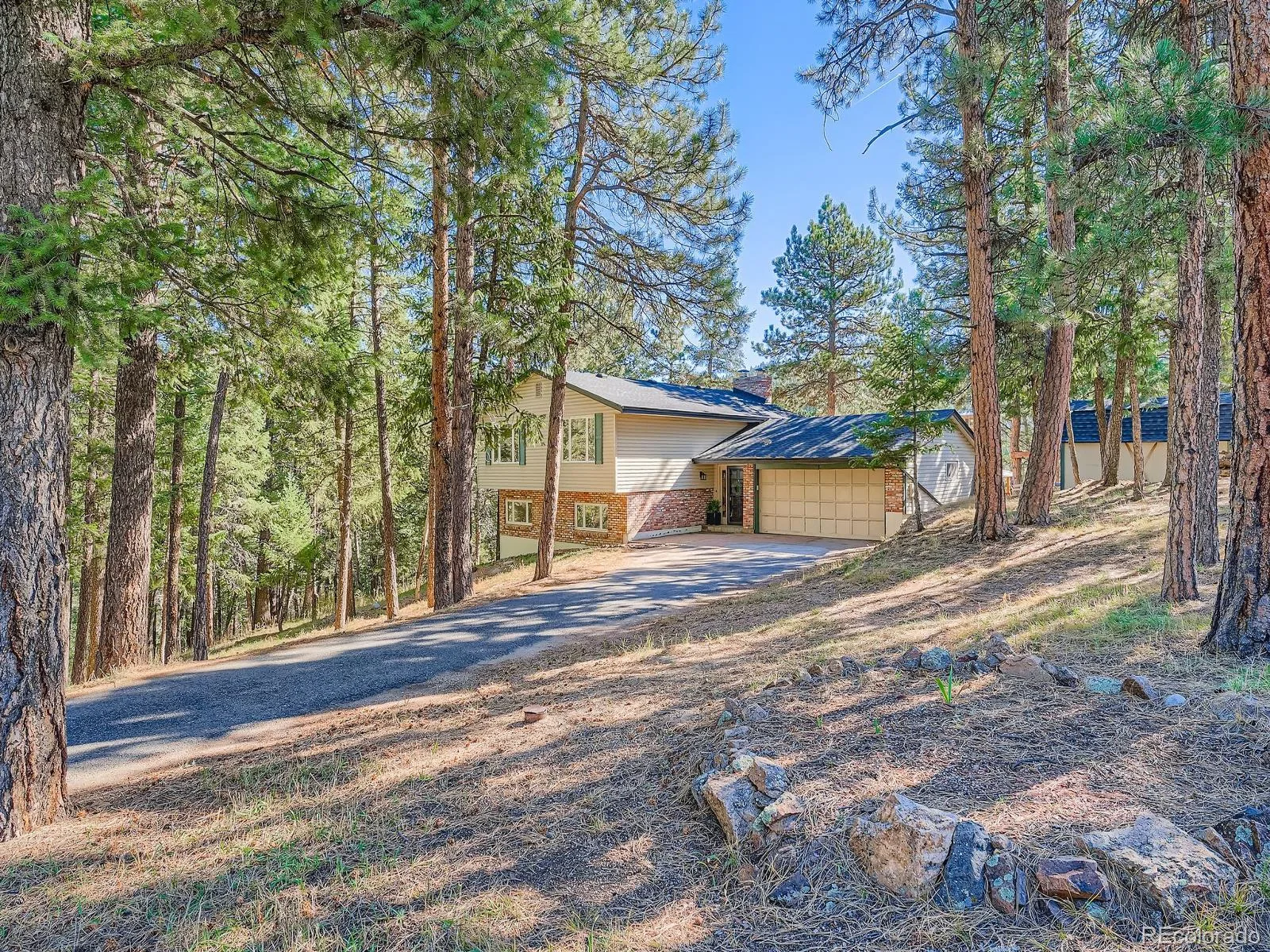 6434 Joan Lane Evergreen CO 80439 | MLS #REC9739746 07312026000035 1600 1