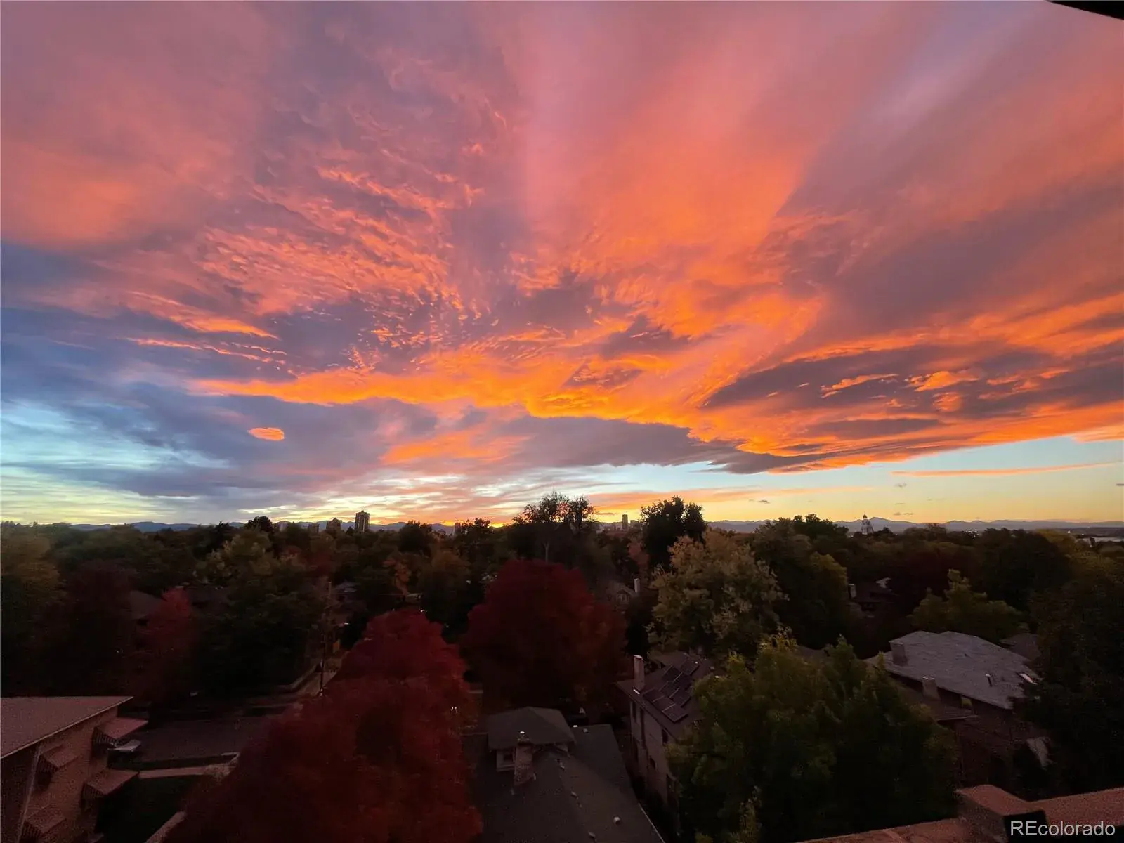 03062026093601 1600 33