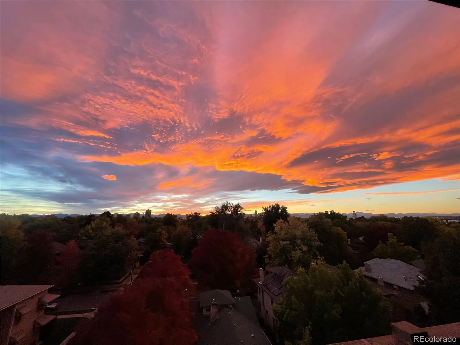 1313 Steele Street #701 Denver CO 80206 MLS #REC9743985 05142026213057 1600 33