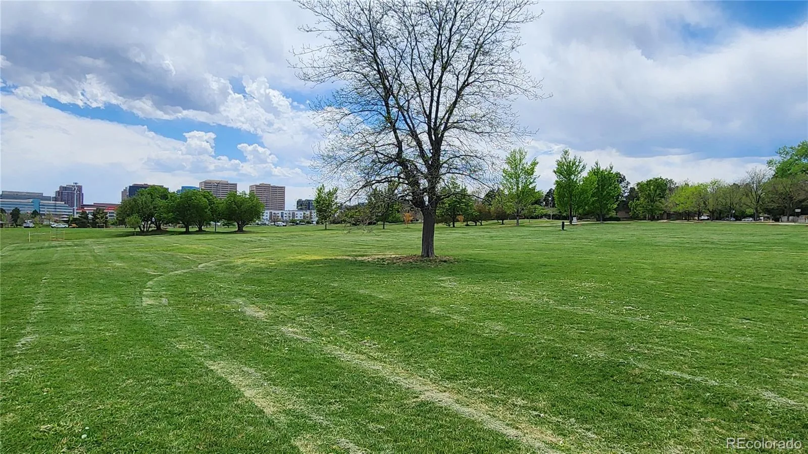 7601 E Oxford Avenue Denver CO 80237 MLS #REC9745132 05202026062153 1600 43