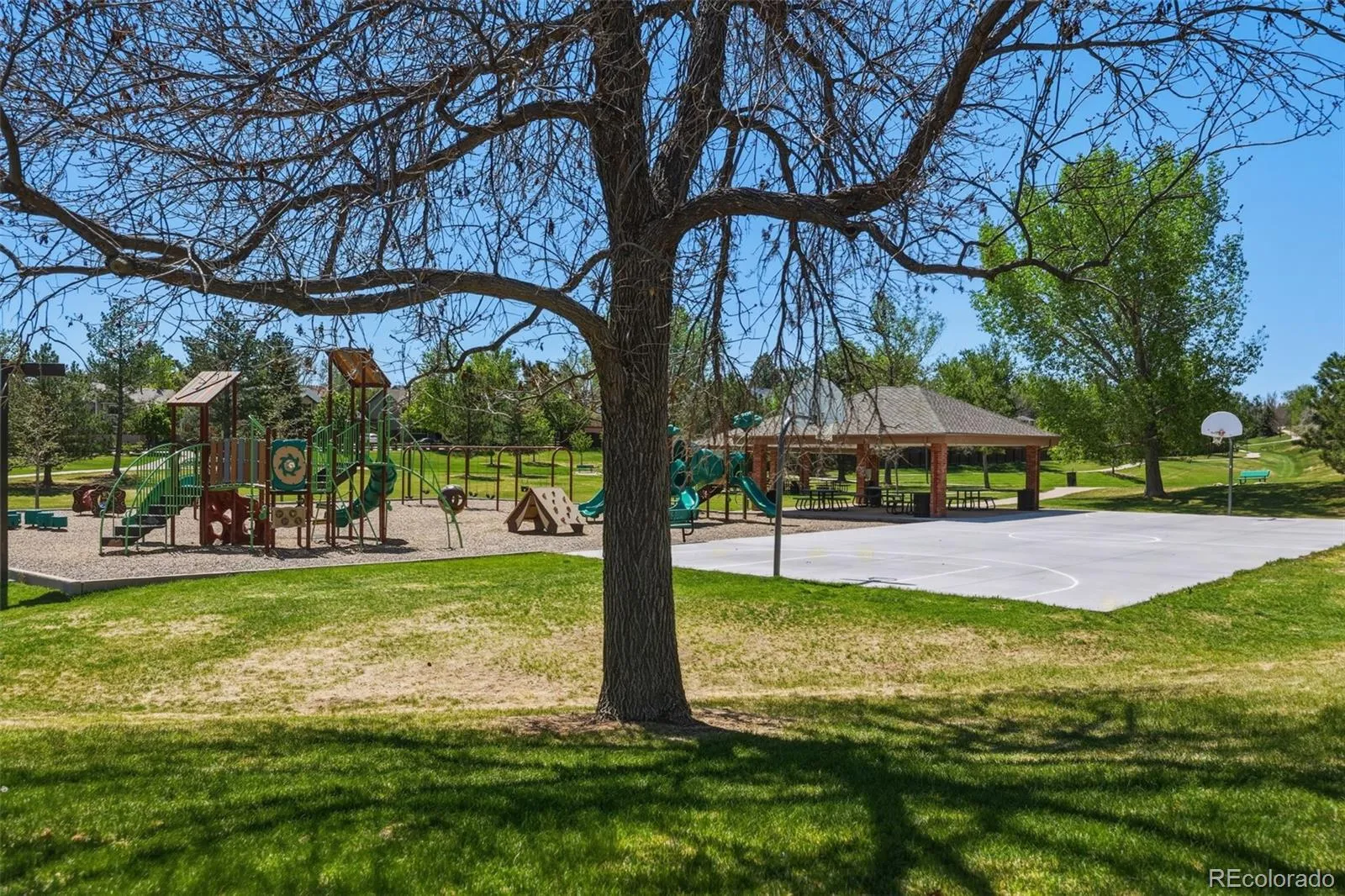5671 S Killarney Way Centennial CO 80015 MLS #REC9755428 05132026212908 1600 25