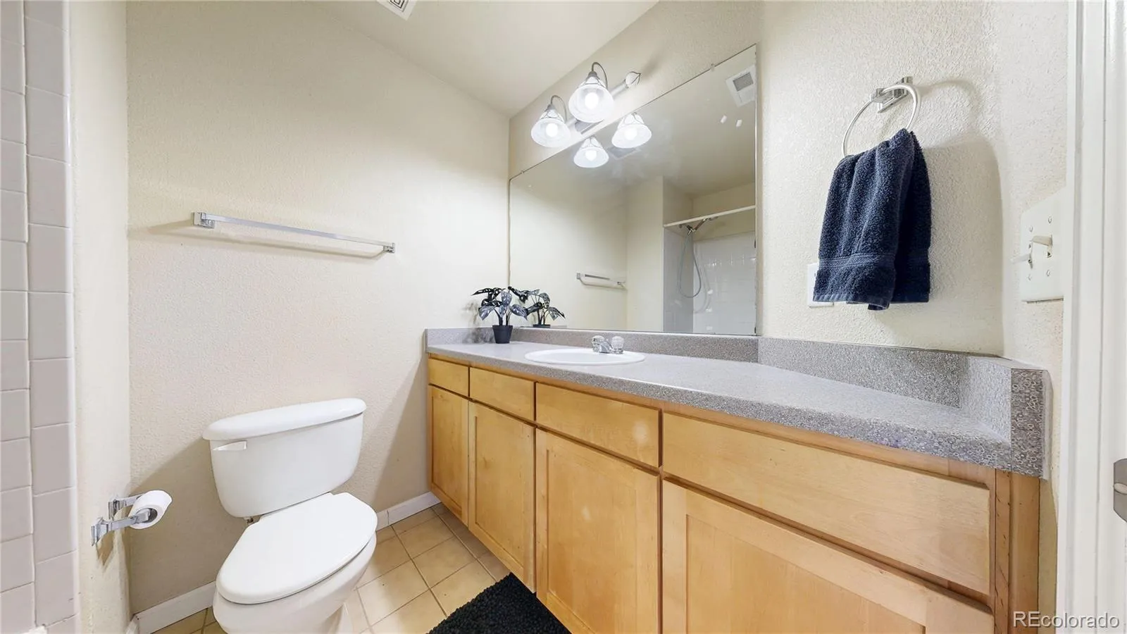 3927 Nordland Trail Castle Rock CO 80109 | MLS #REC9757286 05232026100737 1600 25