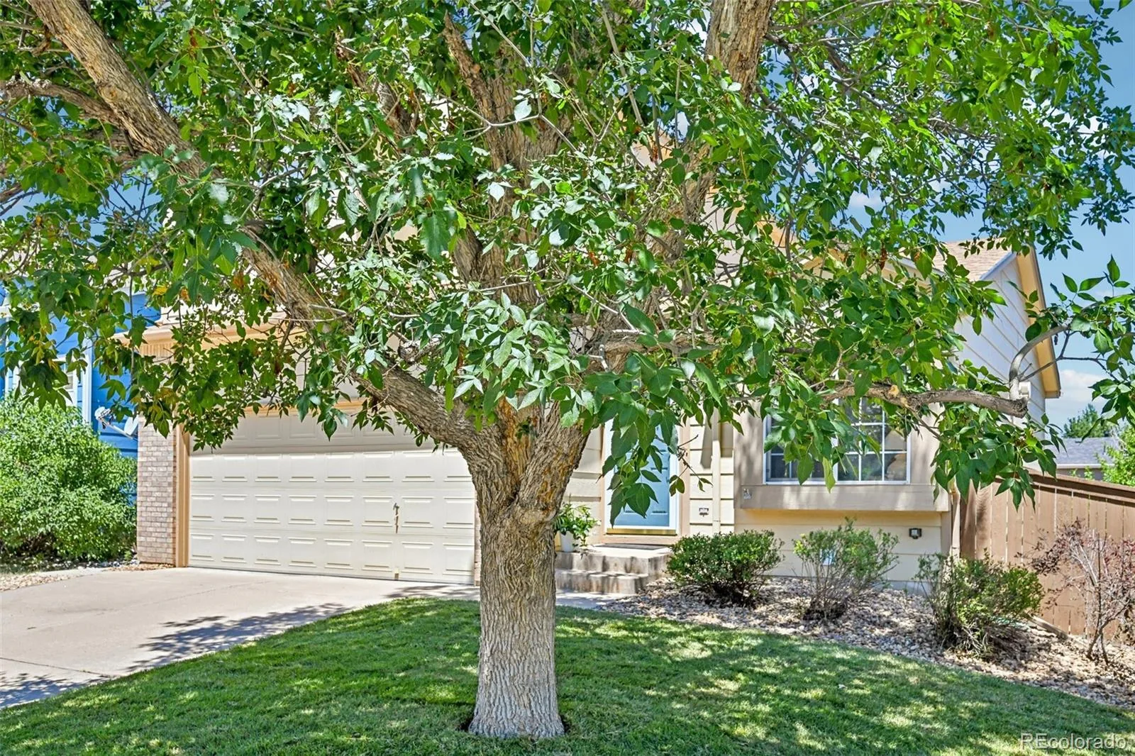 2531 Cove Creek Court Littleton CO 80129 | MLS #REC9757650 07302026163145 1600 1