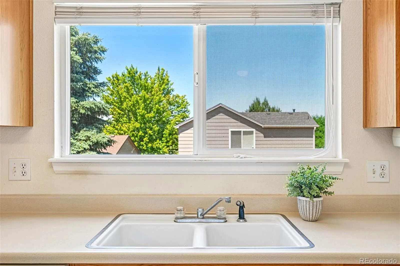 2531 Cove Creek Court Littleton CO 80129 | MLS #REC9757650 07302026163145 1600 30