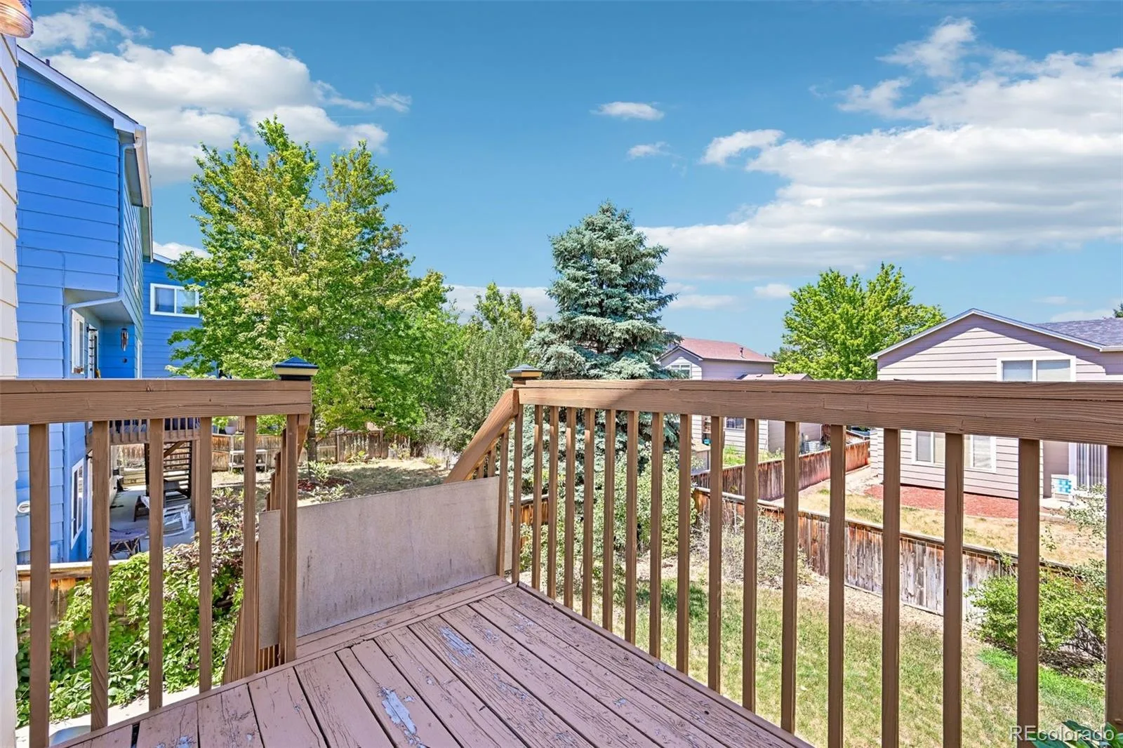 2531 Cove Creek Court Littleton CO 80129 | MLS #REC9757650 07302026163145 1600 48