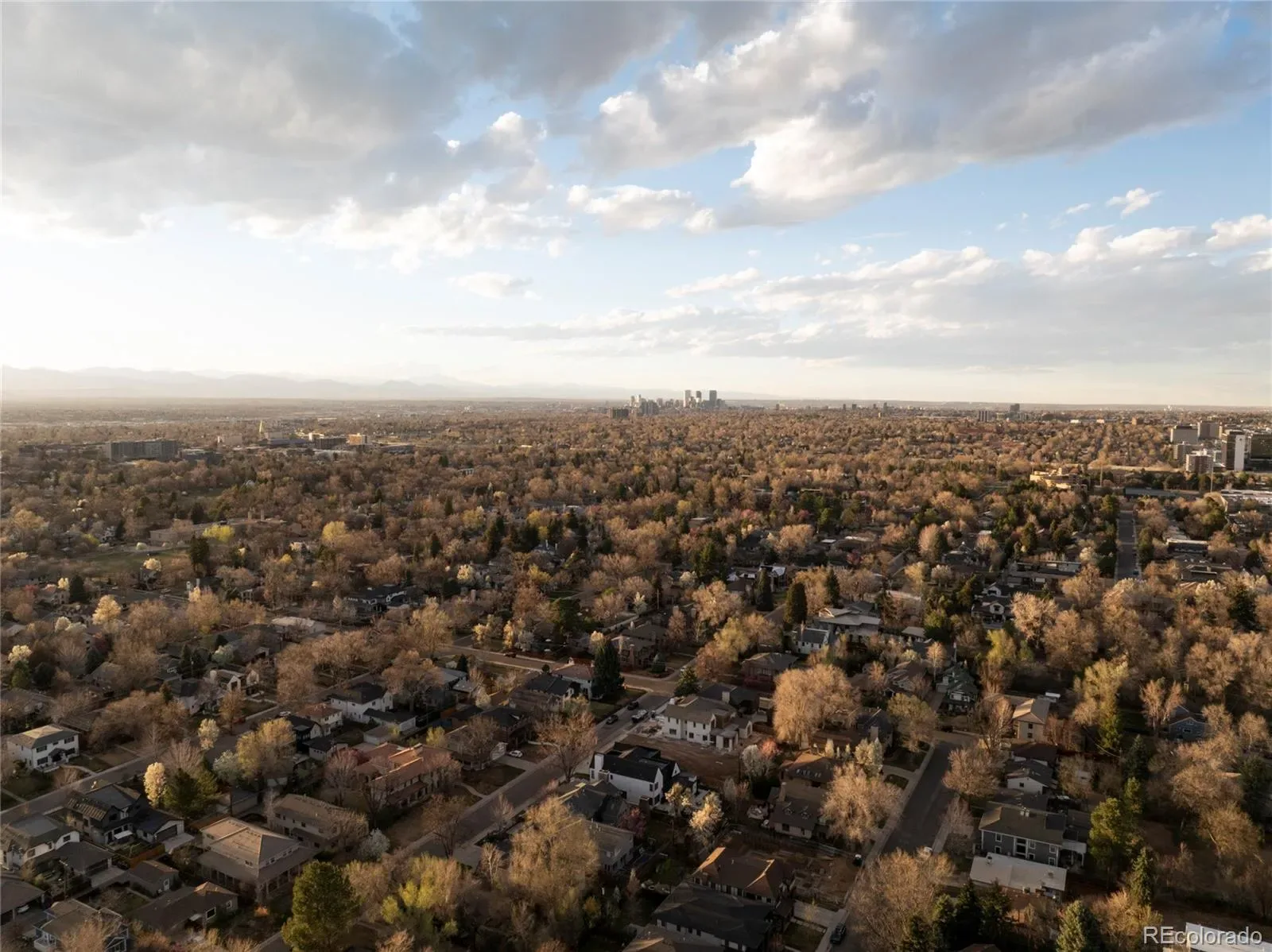 03282026000307 1600 49