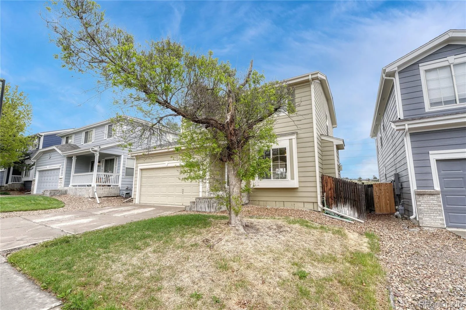 6680 Fonder Drive Parker CO 80134 MLS #REC9795278 06082026213040 1600 4