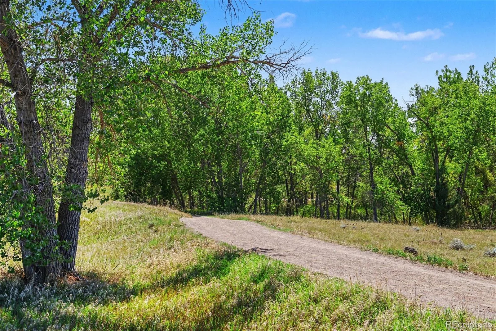 4310 S Andes Way #203 Aurora CO 80015 | MLS #REC9797858 09222026171002 1600 20