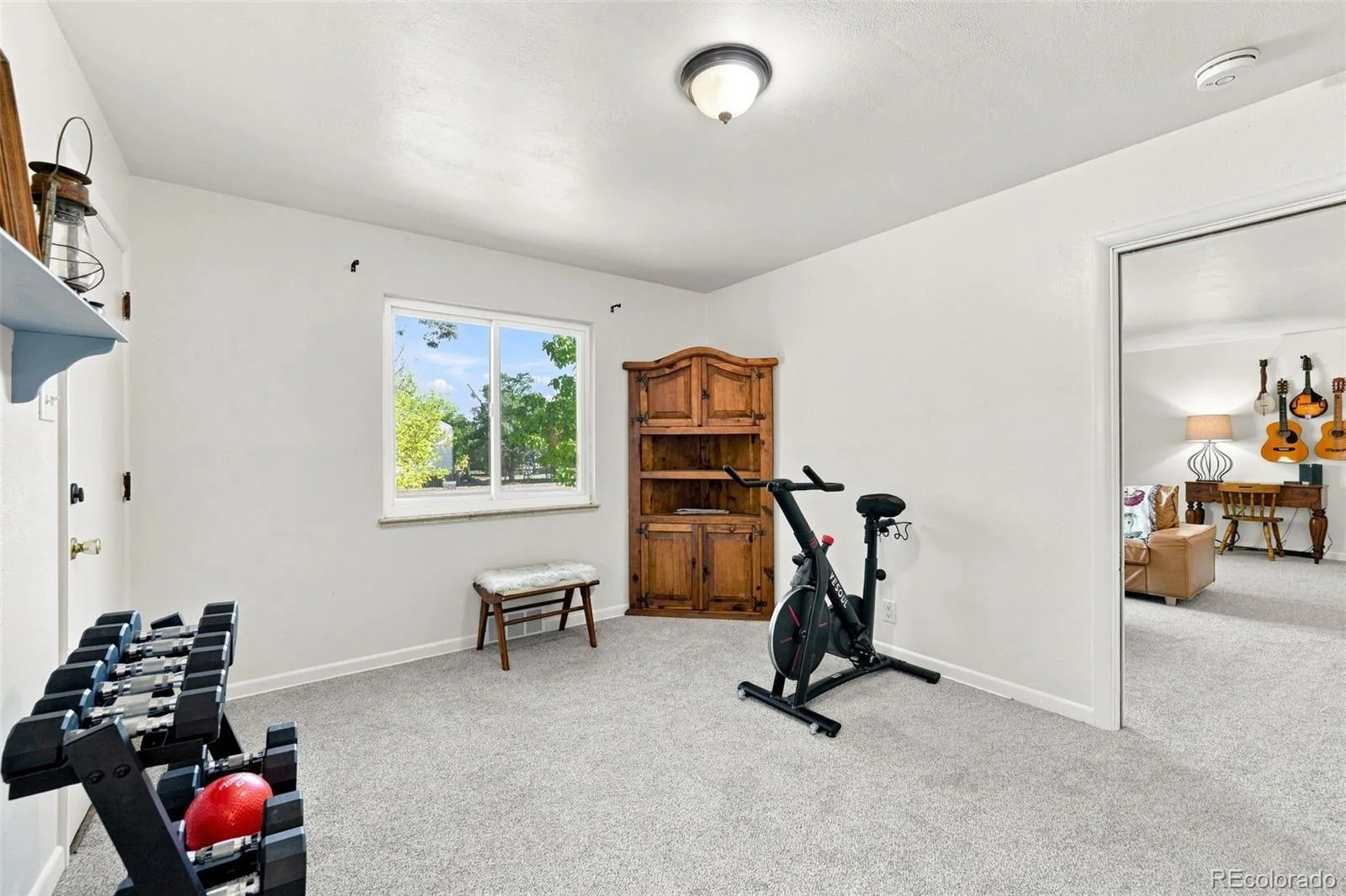 690 Skeel Street Brighton CO 80601 | MLS #REC9798091 08292026153754 1600 27