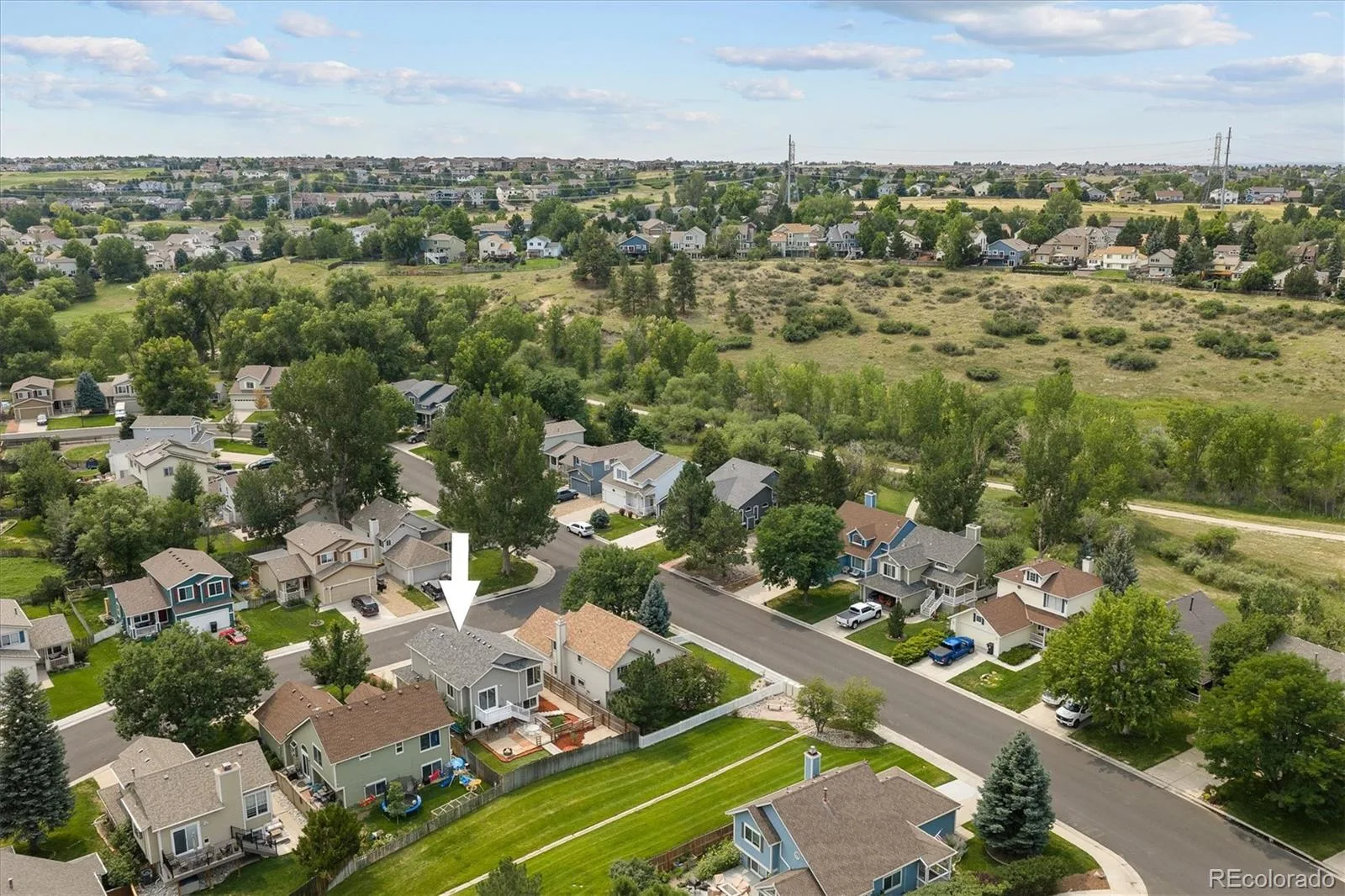 10791 Wheatfield Lane Parker CO 80138 | MLS #REC9800313 08052026181945 1600 29