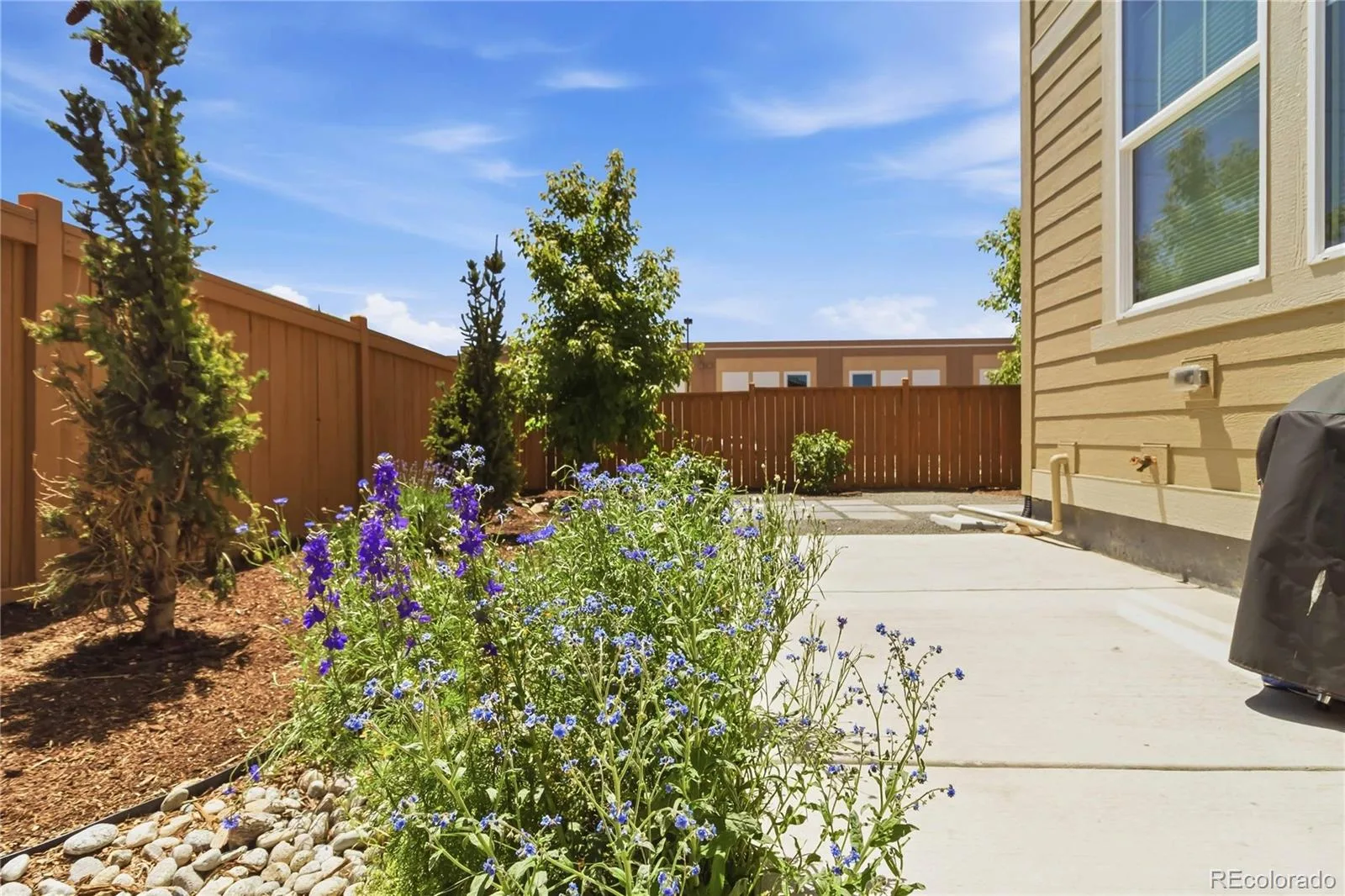 9090 Franconia Court Parker CO 80134 | MLS #REC9800813 06252026000015 1600 40