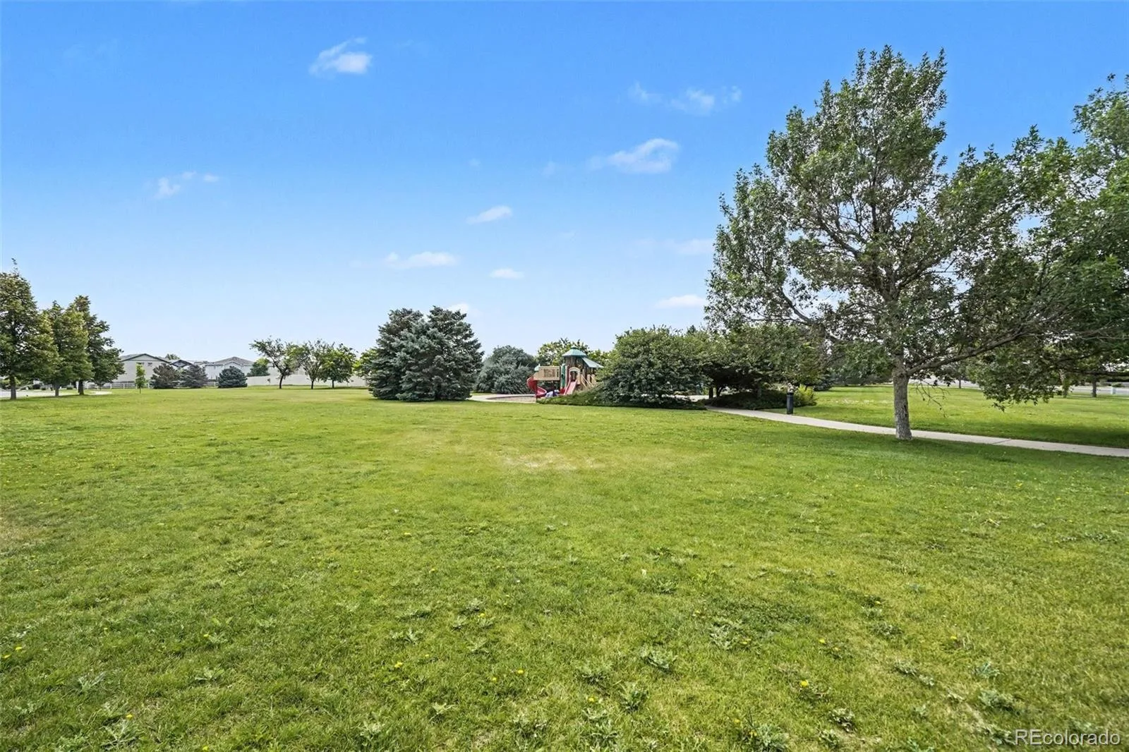 245 Homestead Way Brighton CO 80601 | MLS #REC9804212 08132026154506 1600 31