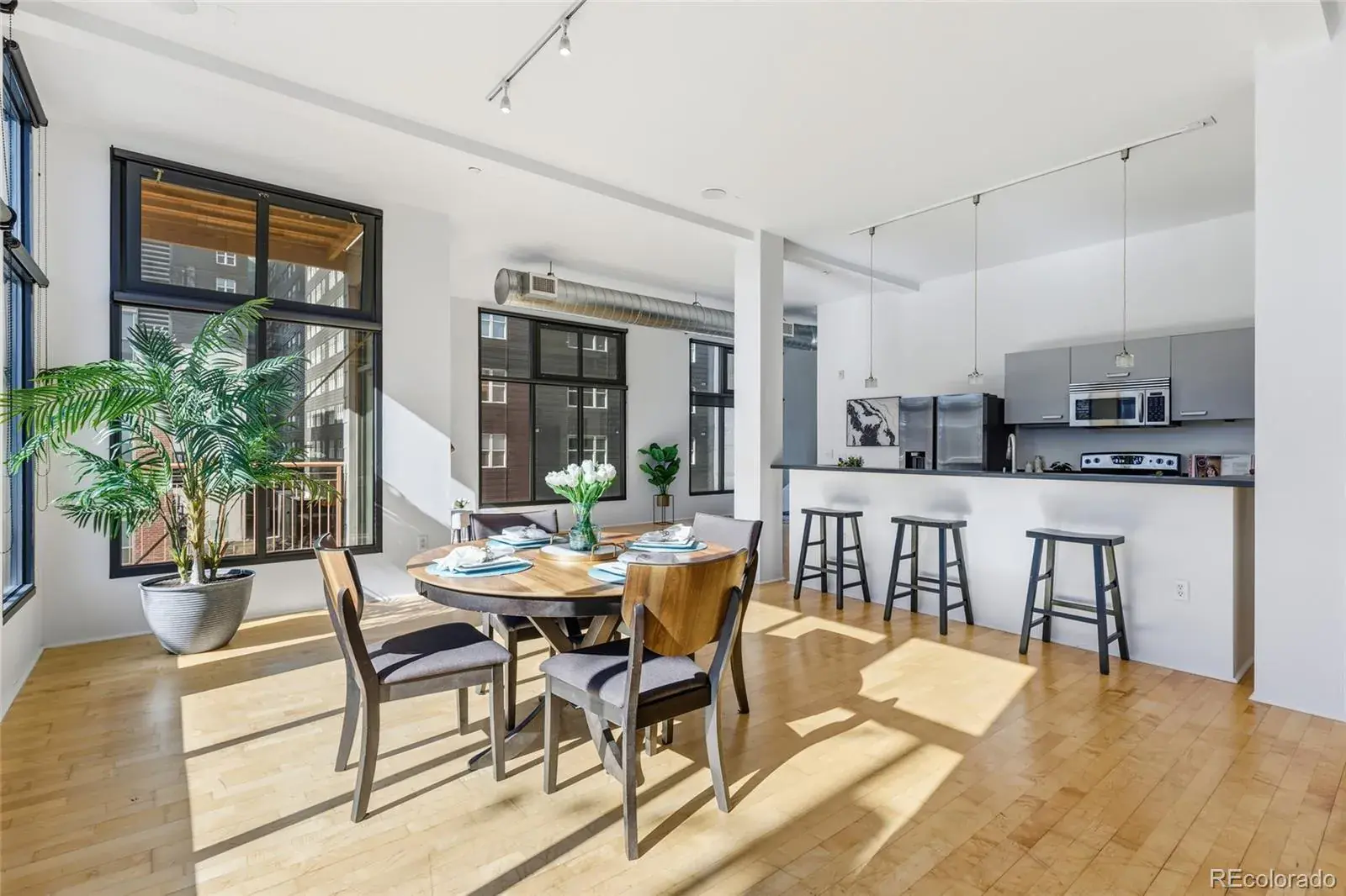 02102026003035 1600 10