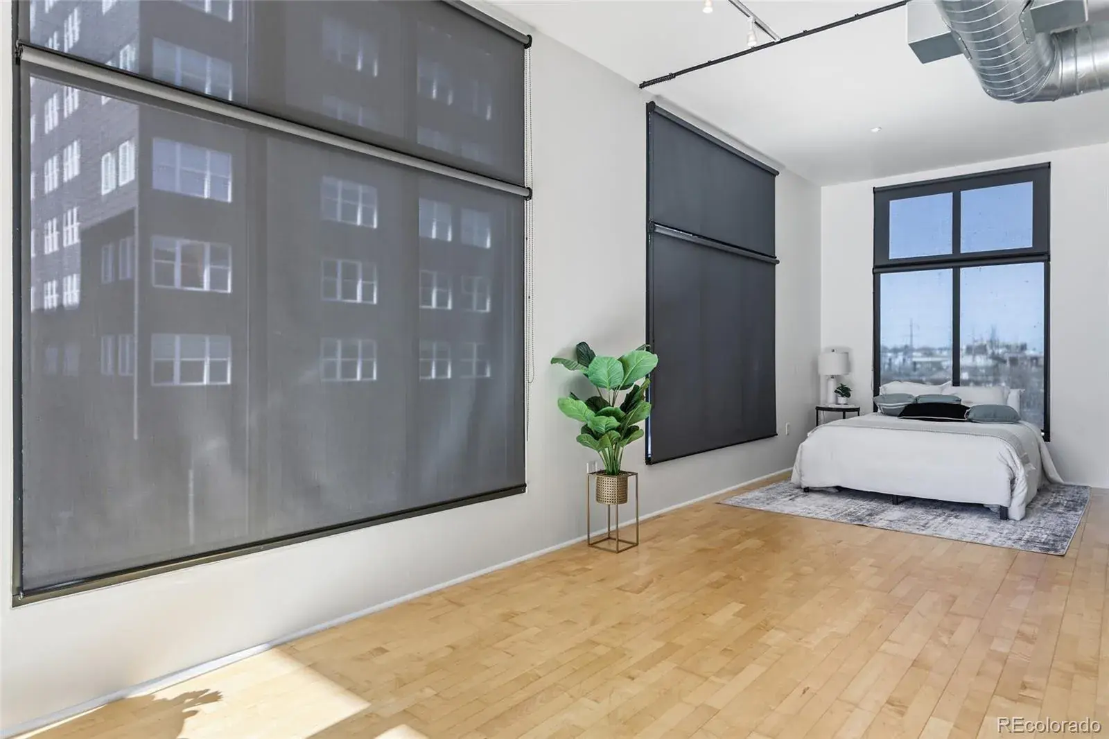 02102026003035 1600 35