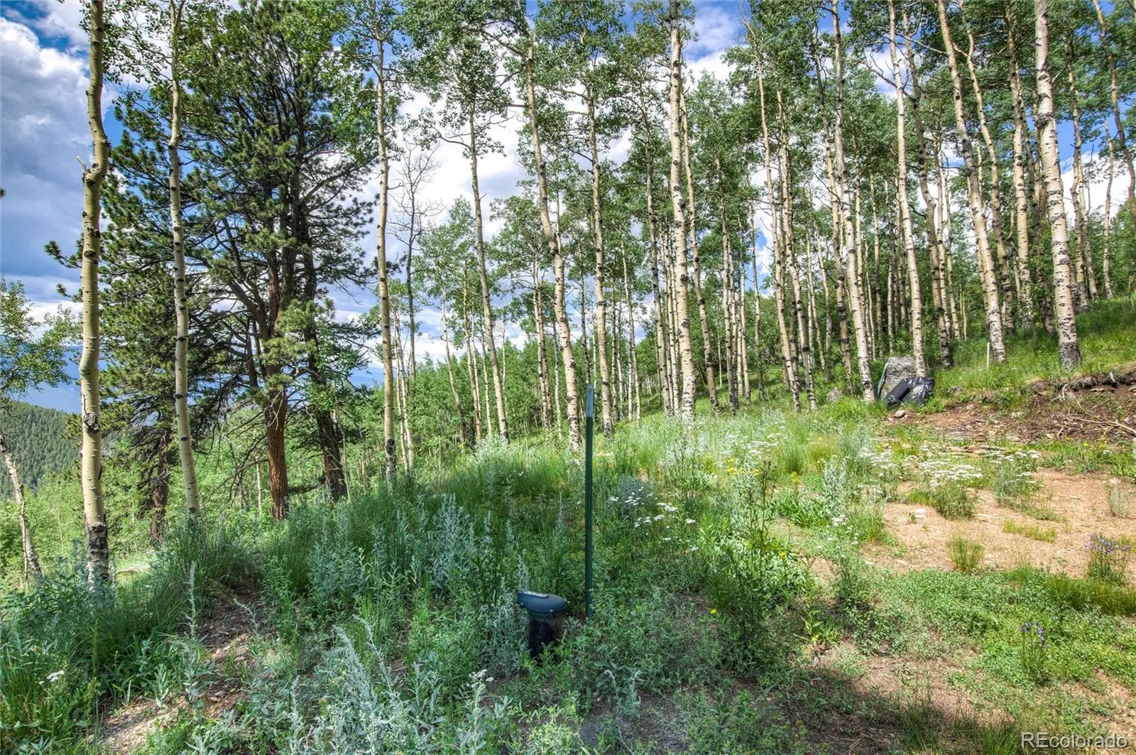 Robinson Hill Road Golden CO 80403 | MLS #REC9807471 05112026200043 1600 10