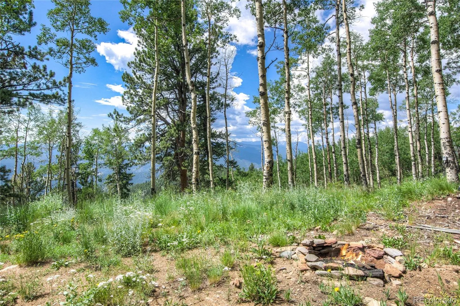 Robinson Hill Road Golden CO 80403 | MLS #REC9807471 05112026200043 1600 11