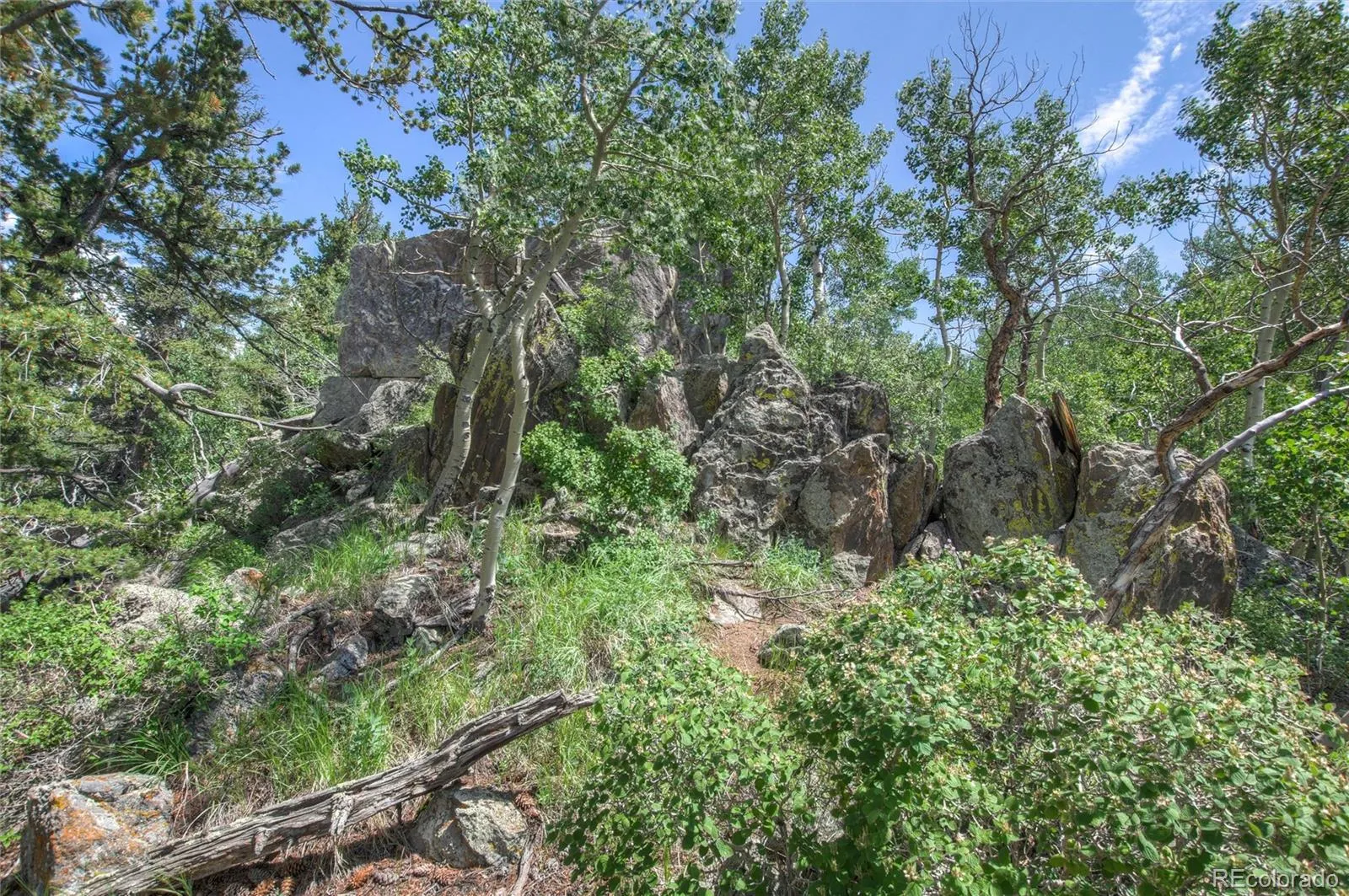 Robinson Hill Road Golden CO 80403 | MLS #REC9807471 05112026200043 1600 14