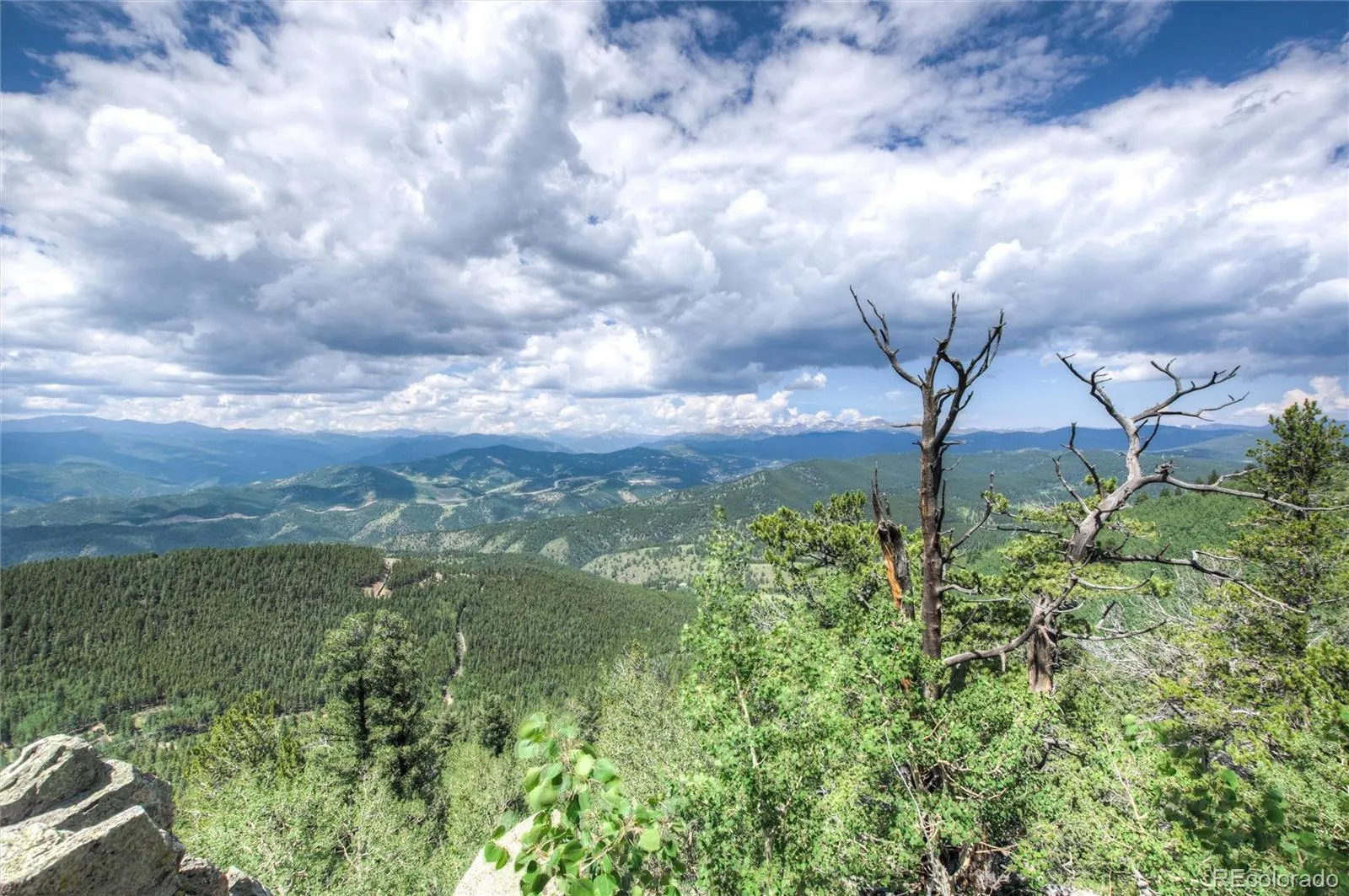 Robinson Hill Road Golden CO 80403 | MLS #REC9807471 05112026200043 1600 15