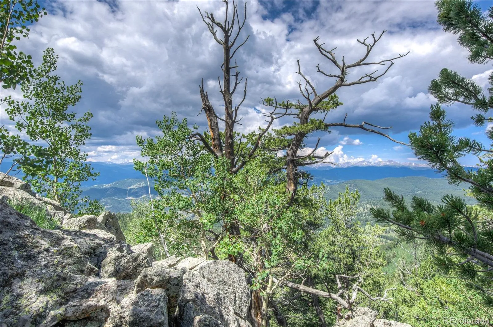 Robinson Hill Road Golden CO 80403 | MLS #REC9807471 05112026200043 1600 16