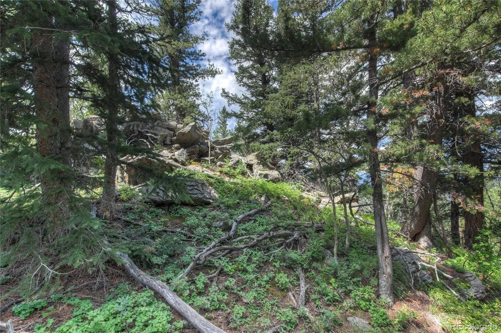Robinson Hill Road Golden CO 80403 | MLS #REC9807471 05112026200043 1600 17