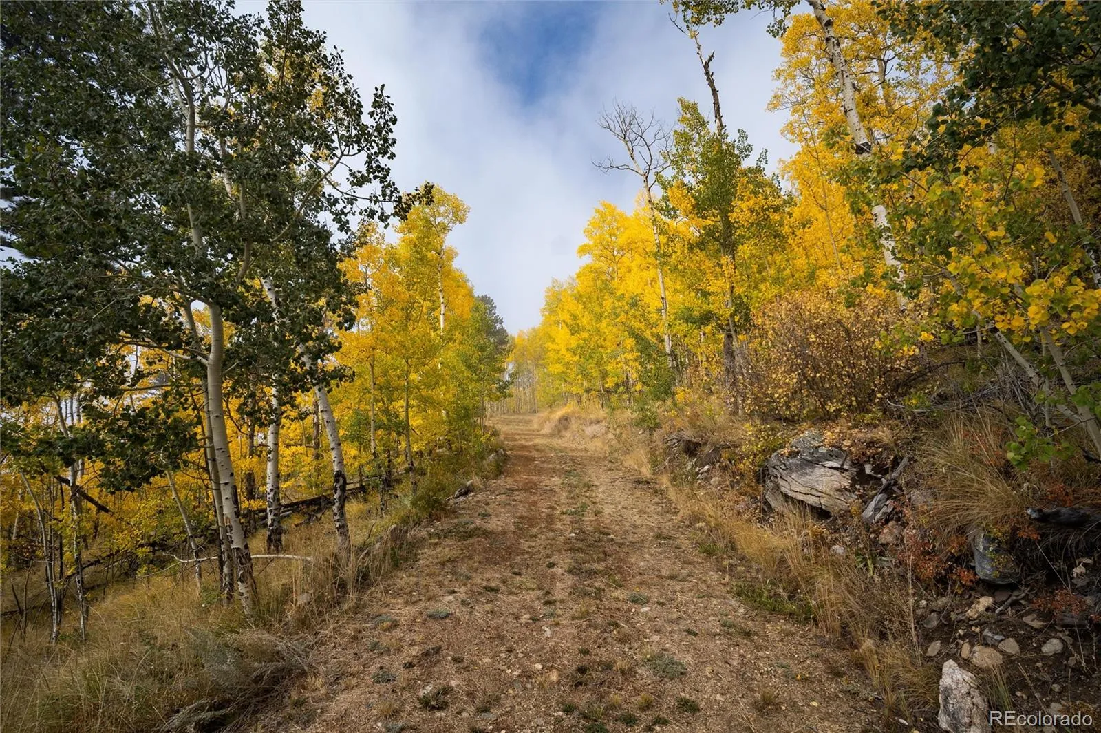 Robinson Hill Road Golden CO 80403 | MLS #REC9807471 05112026200043 1600 19