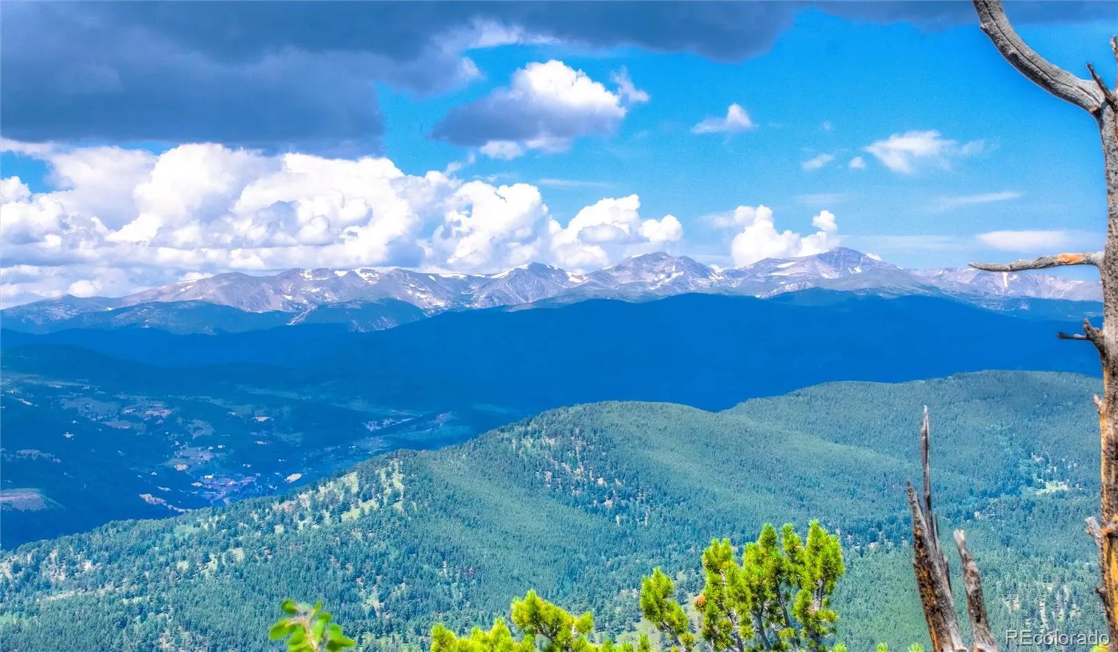 Robinson Hill Road Golden CO 80403 | MLS #REC9807471 05112026200043 1600 25