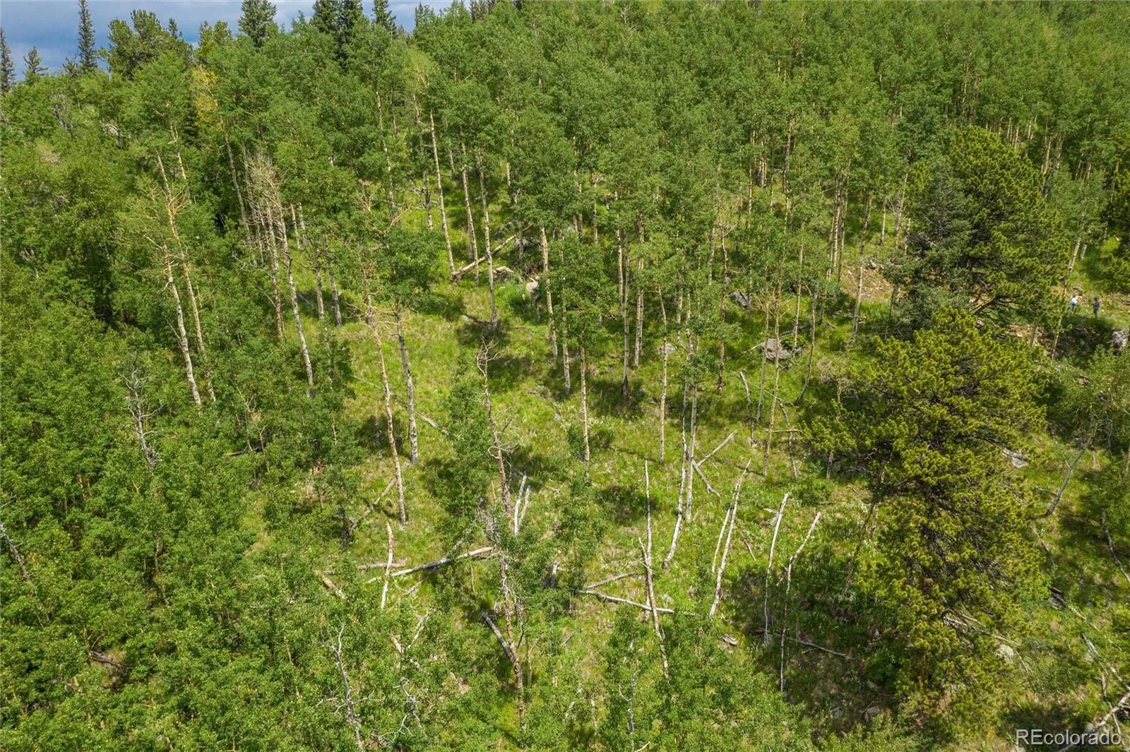 Robinson Hill Road Golden CO 80403 | MLS #REC9807471 05112026200043 1600 28