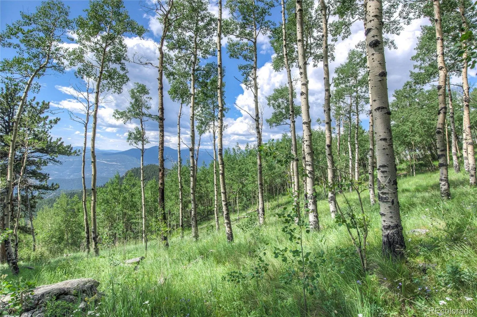 Robinson Hill Road Golden CO 80403 | MLS #REC9807471 05112026200043 1600 3