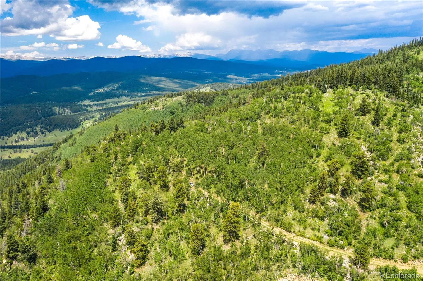 Robinson Hill Road Golden CO 80403 | MLS #REC9807471 05112026200043 1600 31