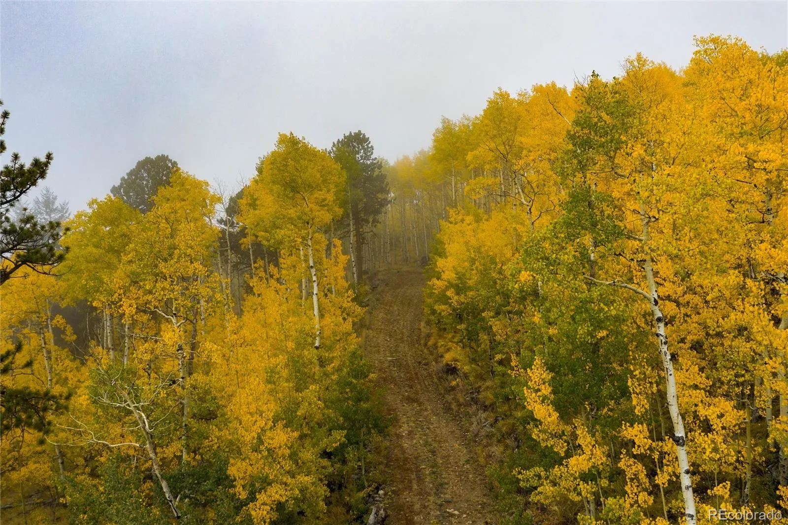 Robinson Hill Road Golden CO 80403 | MLS #REC9807471 05112026200043 1600 37