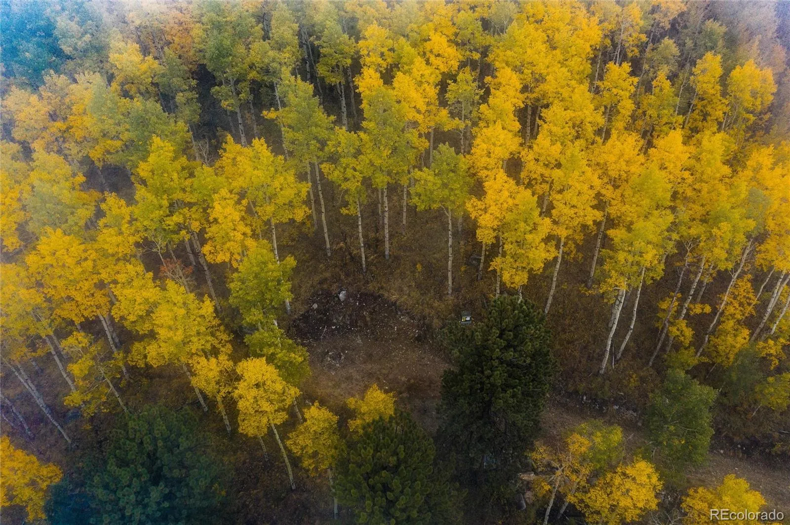 Robinson Hill Road Golden CO 80403 | MLS #REC9807471 05112026200043 1600 38