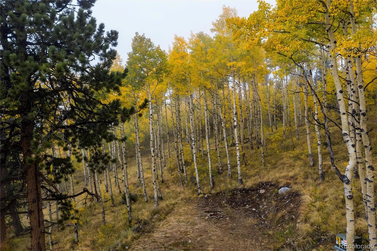 Robinson Hill Road Golden CO 80403 | MLS #REC9807471 05112026200043 1600 39