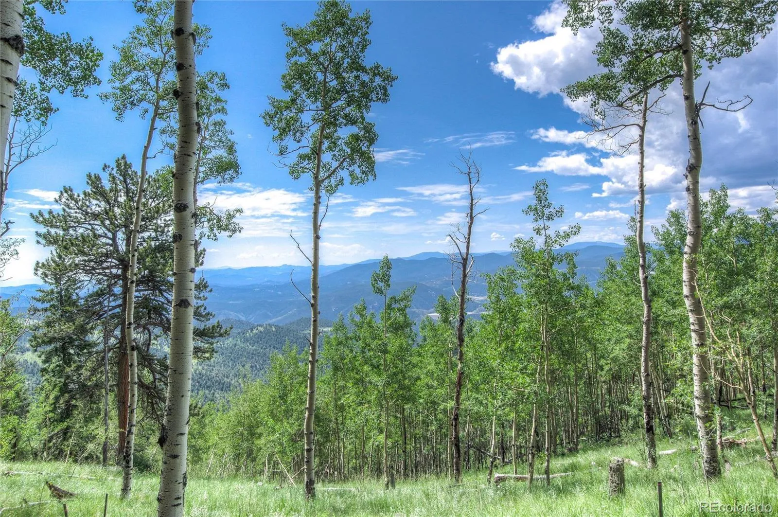 Robinson Hill Road Golden CO 80403 | MLS #REC9807471 05112026200043 1600 4