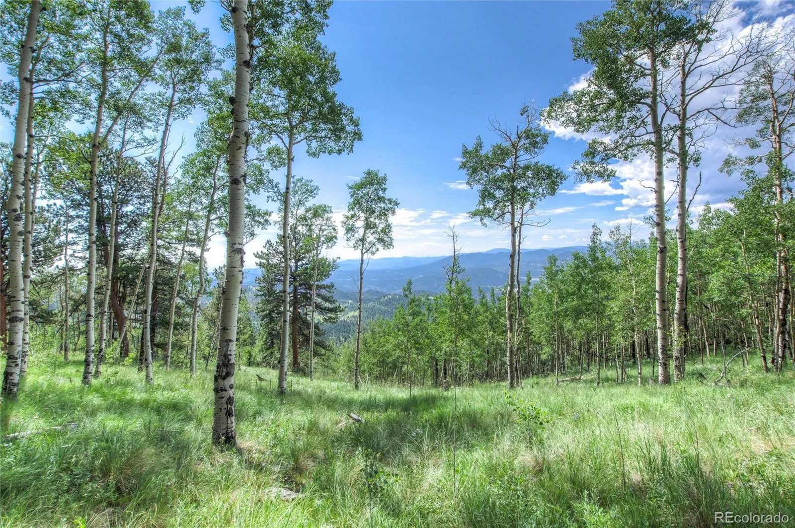 Robinson Hill Road Golden CO 80403 | MLS #REC9807471 05112026200043 1600 5