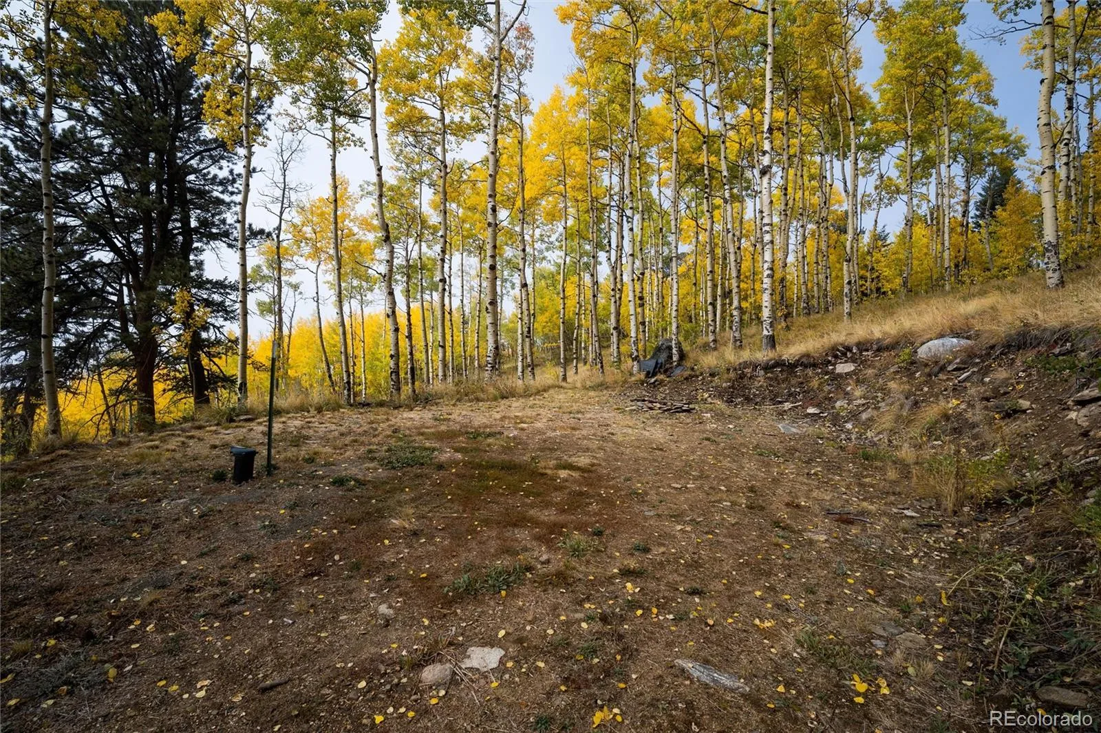 Robinson Hill Road Golden CO 80403 | MLS #REC9807471 05112026200043 1600 7
