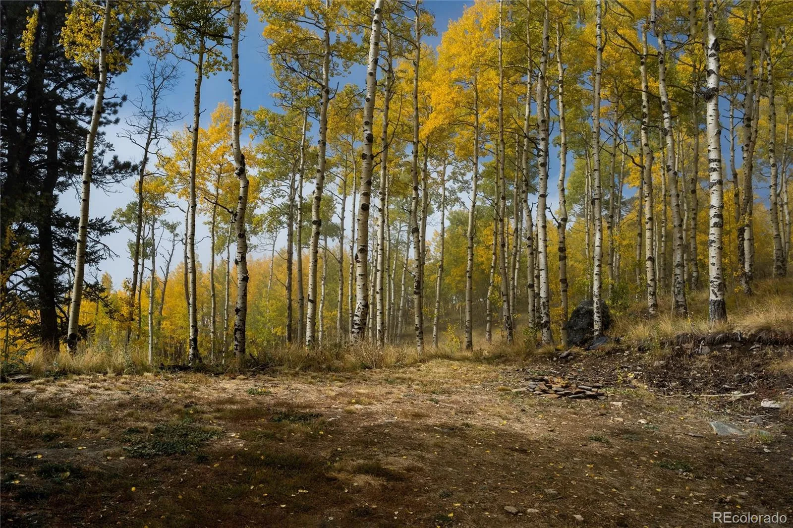 Robinson Hill Road Golden CO 80403 | MLS #REC9807471 05112026200043 1600 9