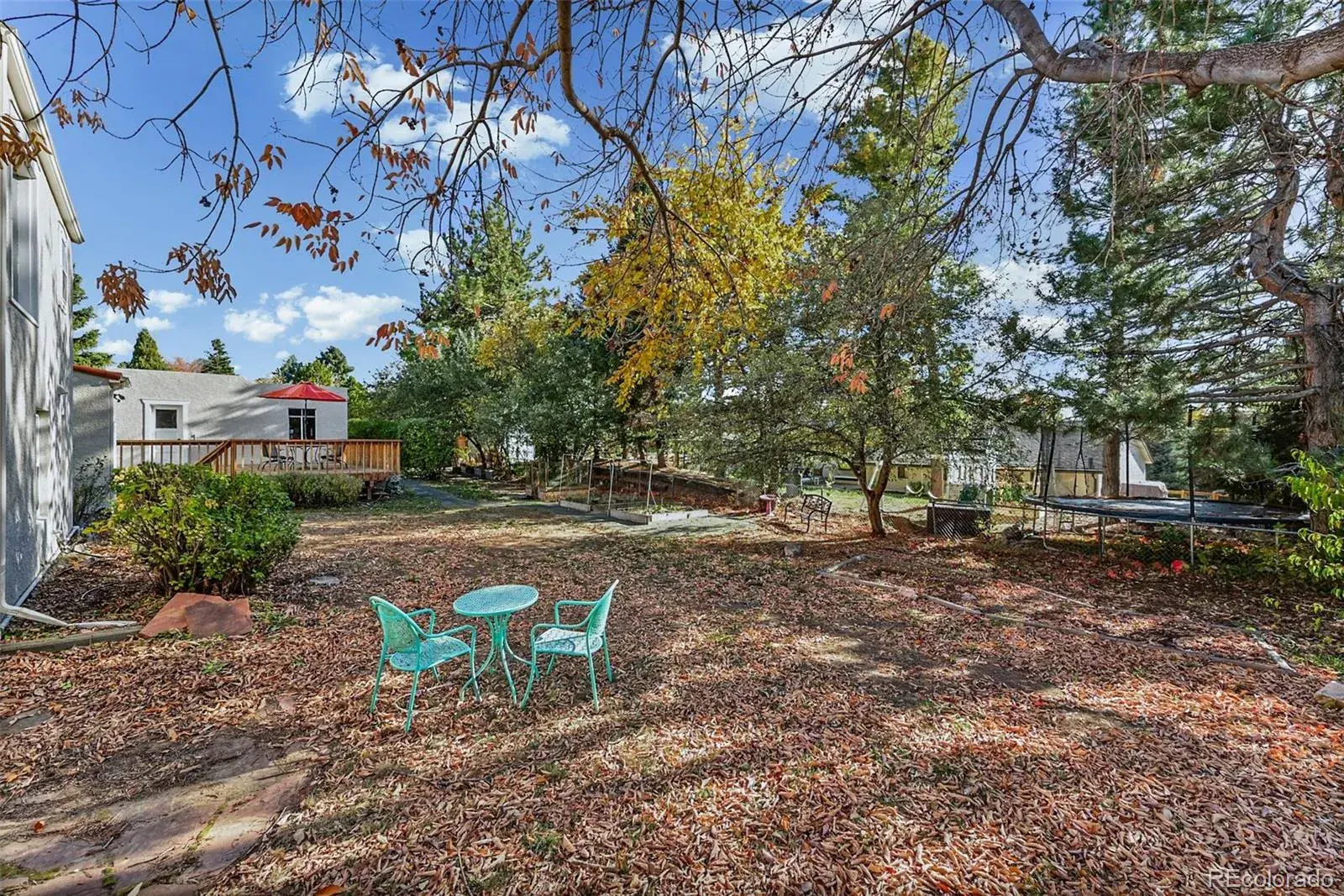 02182026183824 1600 40