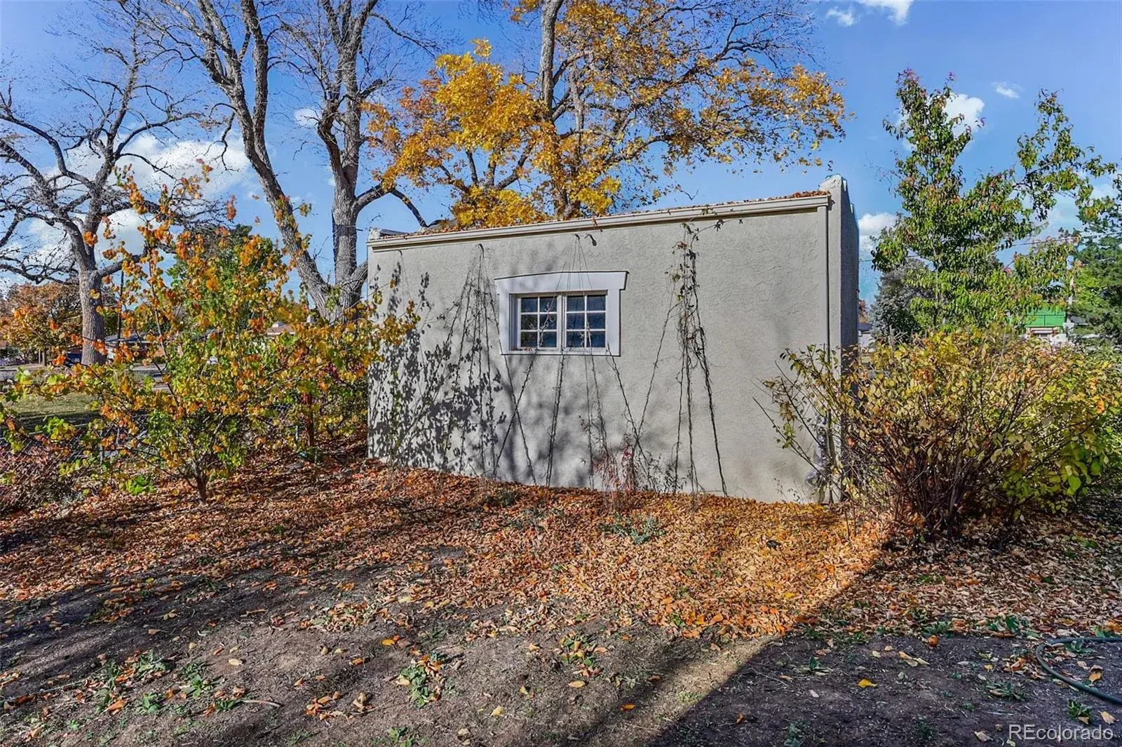 02182026183824 1600 42