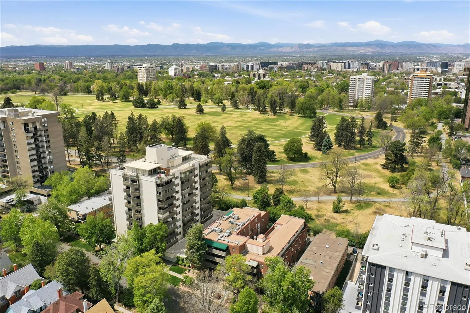 1245 Race Street #108 Denver CO 80206 MLS #REC9815406 05052026193100 1600 16