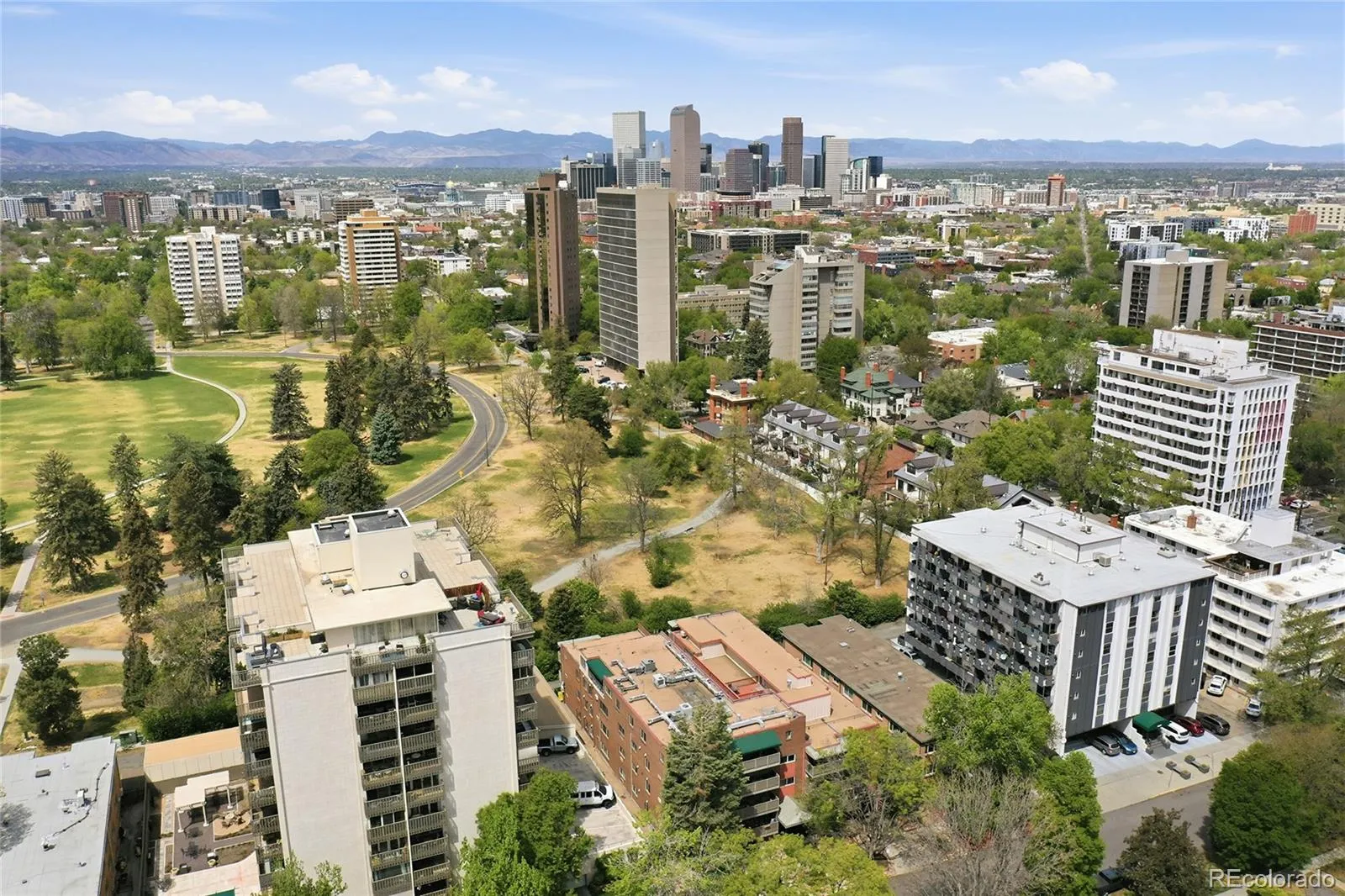 1245 Race Street #108 Denver CO 80206 MLS #REC9815406 05052026193100 1600 17