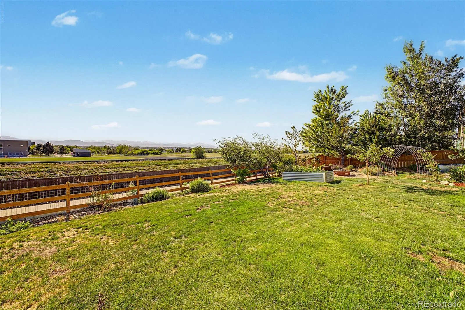 2505 E 141st Place Brighton CO 80602 MLS #REC9815888 06122026204550 1600 47