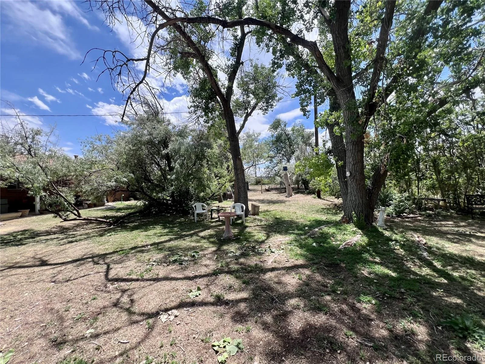 13679 Raleigh Street Broomfield CO 80023 MLS #REC9818626 06112026214000 1600 18
