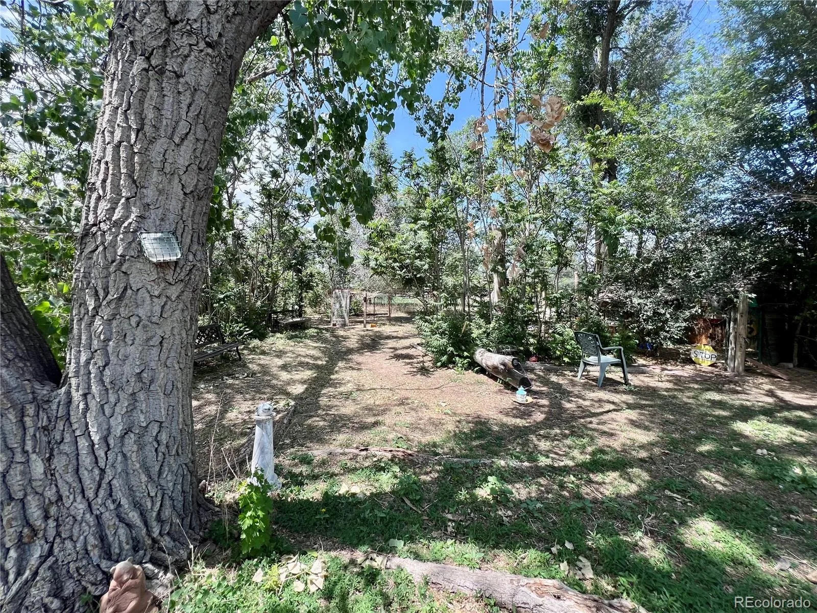 13679 Raleigh Street Broomfield CO 80023 MLS #REC9818626 06112026214000 1600 19