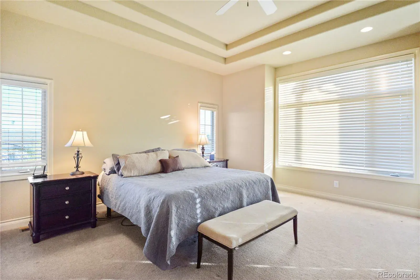 4616 Sonado Place Parker CO 80134 MLS #REC9821209 10312025225024 1600 22
