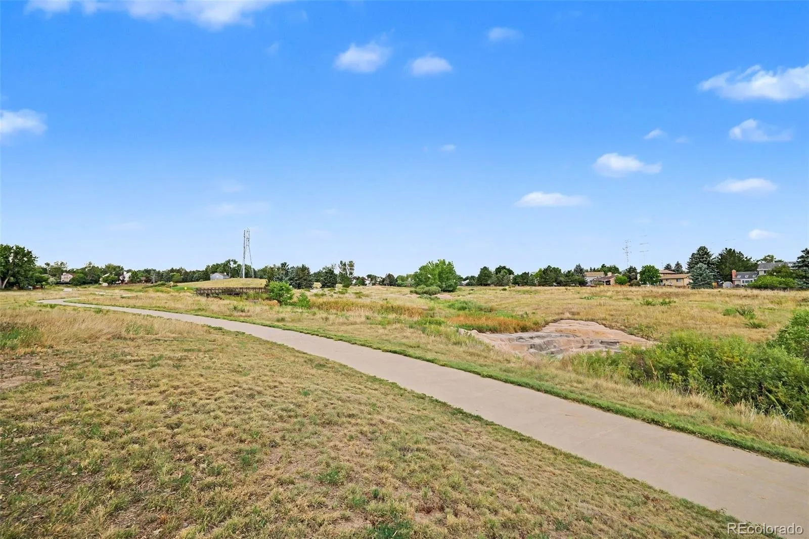 11149 Dartmoor Court Parker CO 80138 | MLS #REC9822424 08172026215520 1600 9