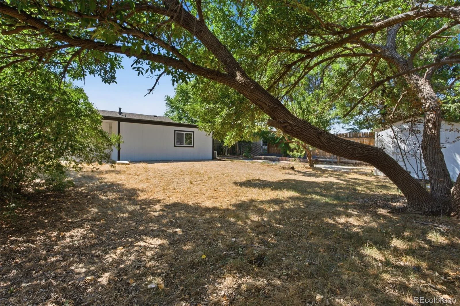 7900 Olive Street Commerce City CO 80022 | MLS #REC9826574 08022026230555 1600 18