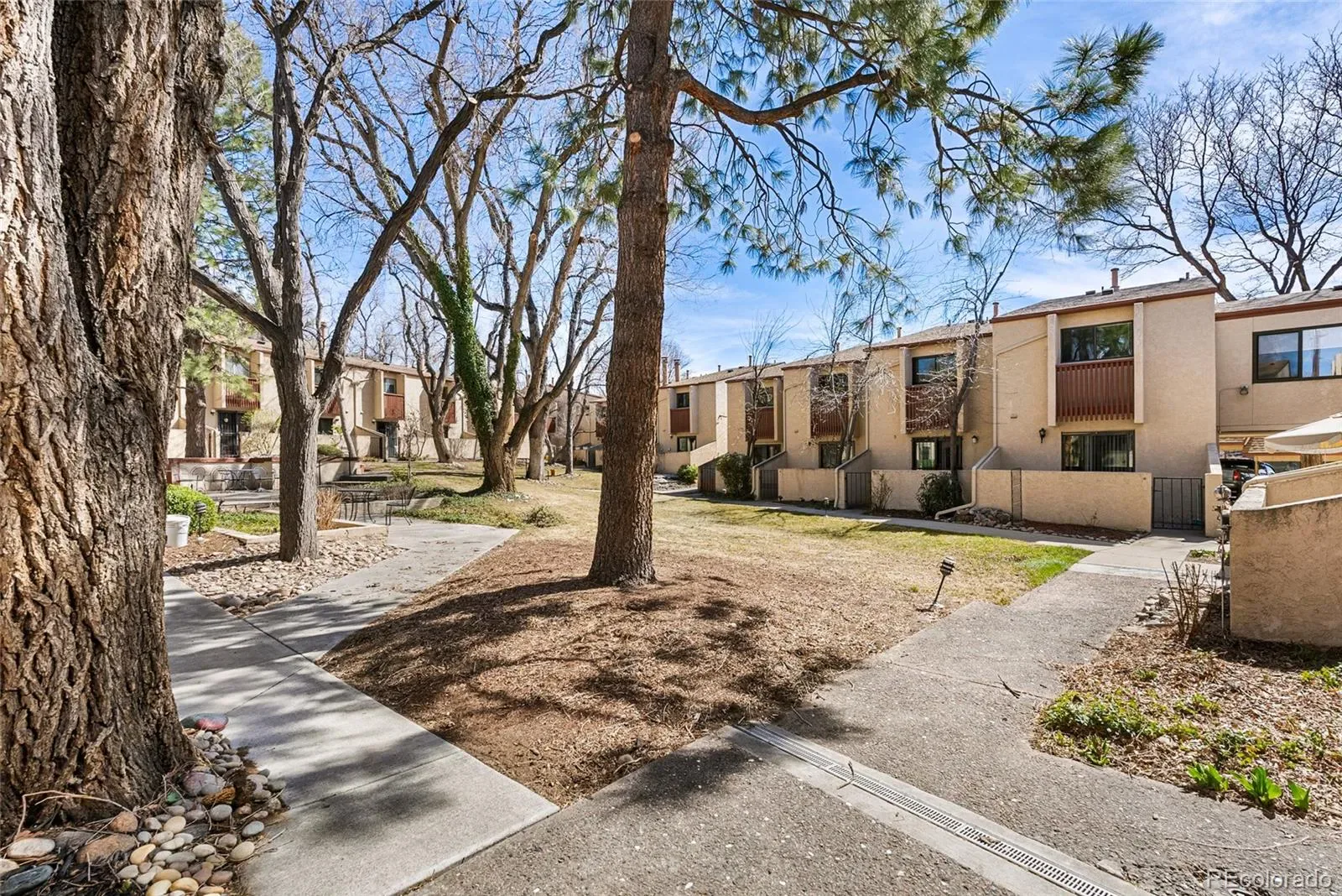 03202026042650 1600 21