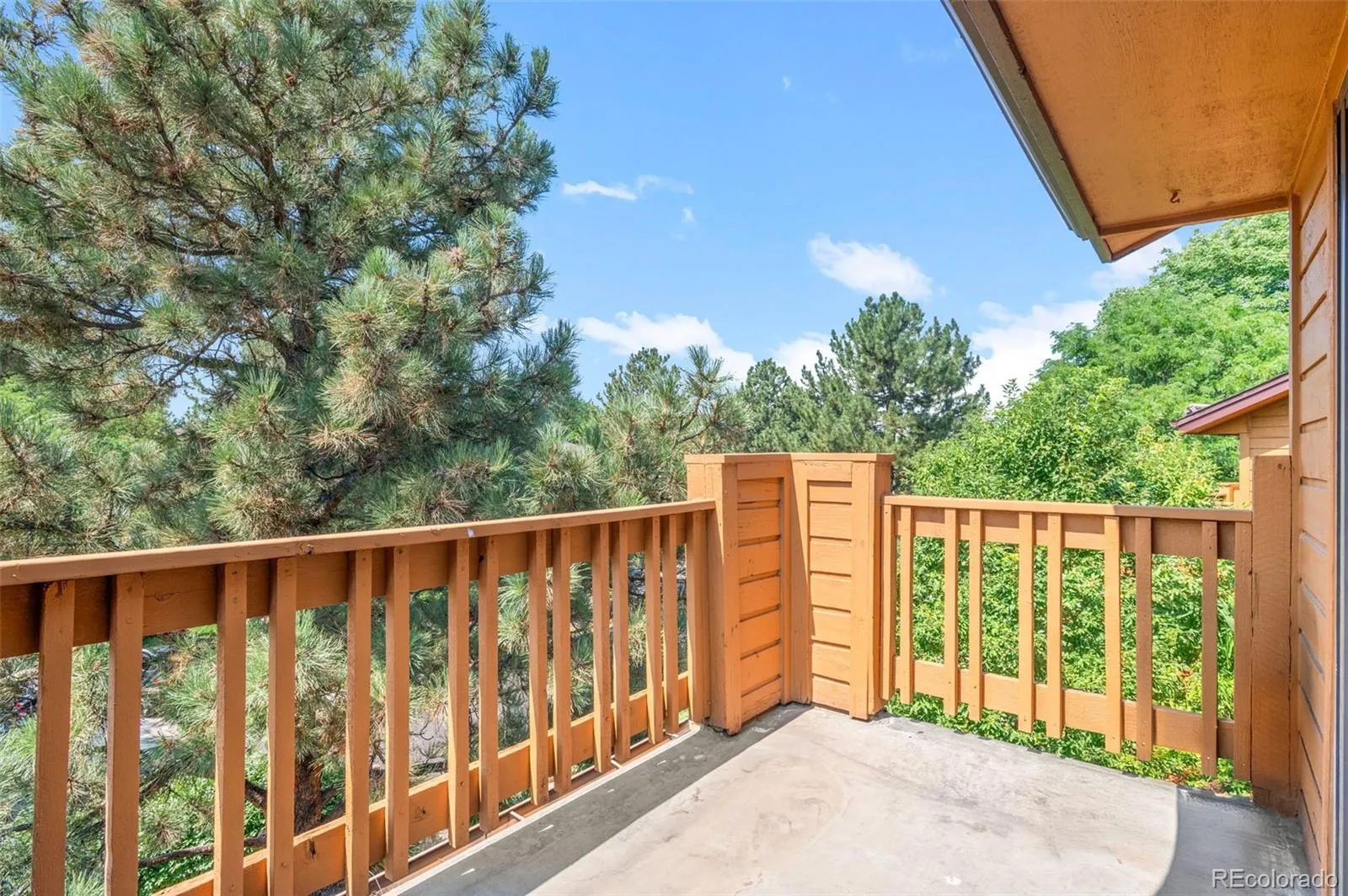 04102026152900 1600 22